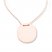Disc Necklace 14K Rose Gold