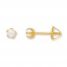 Cultured Pearl Earrings 14K Yellow Gold