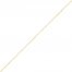 Singapore Chain Necklace 14K Yellow Gold 22"